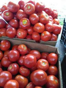 rosii 2 - rosii 2021 2