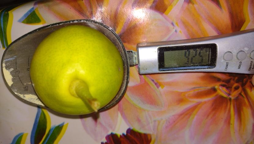 2021 92 grame - Arabitka