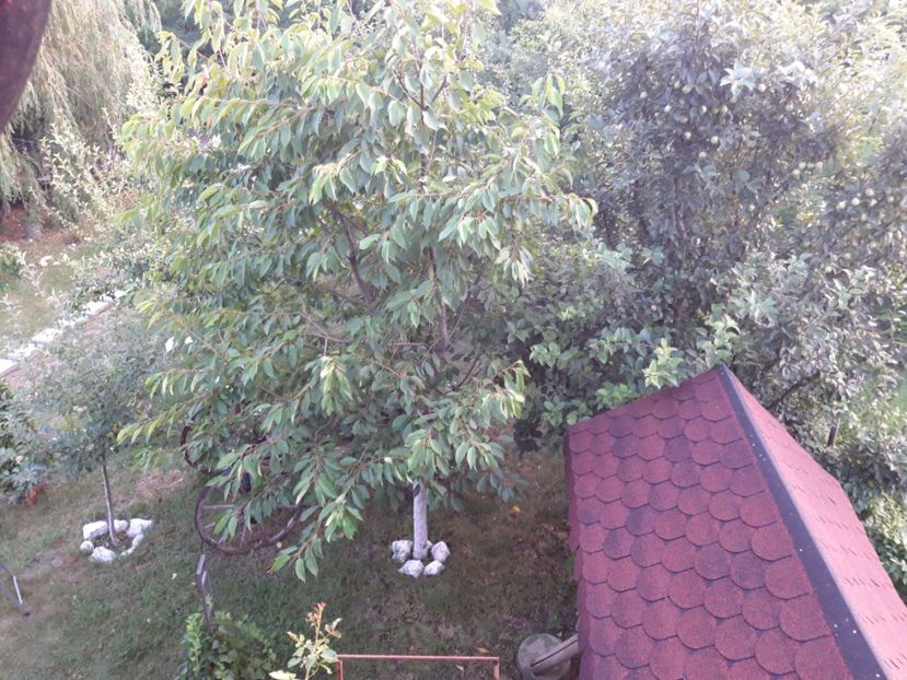  - Casuta de la tara in 2021