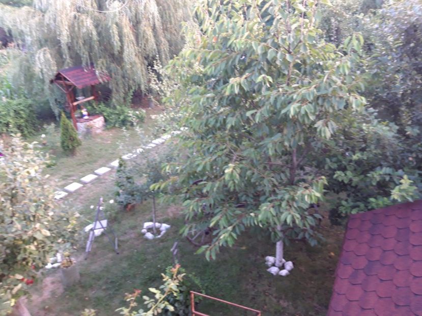  - Casuta de la tara in 2021