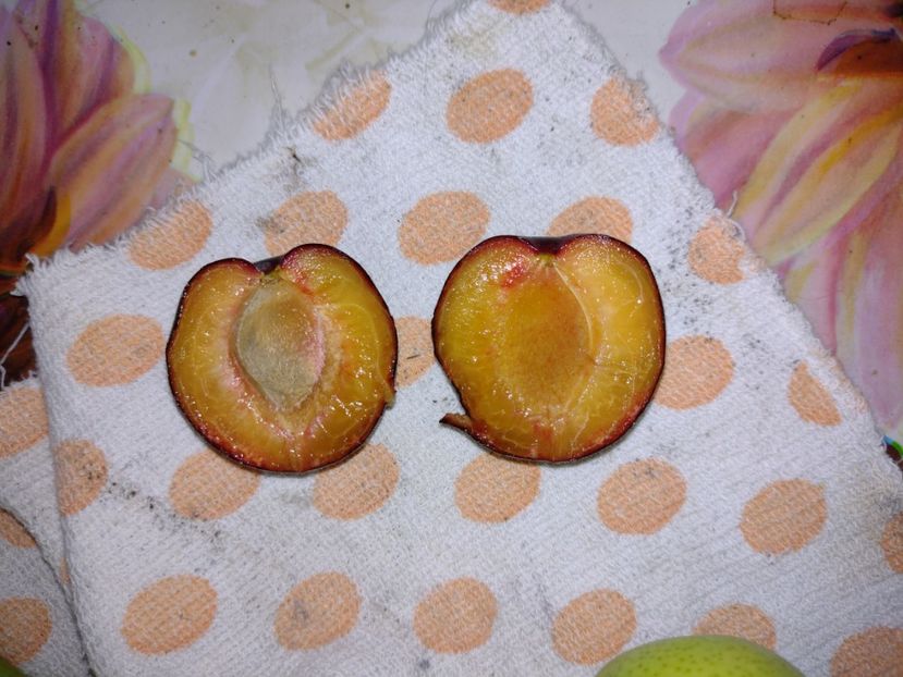 25 iulie 2021 - Cais negru