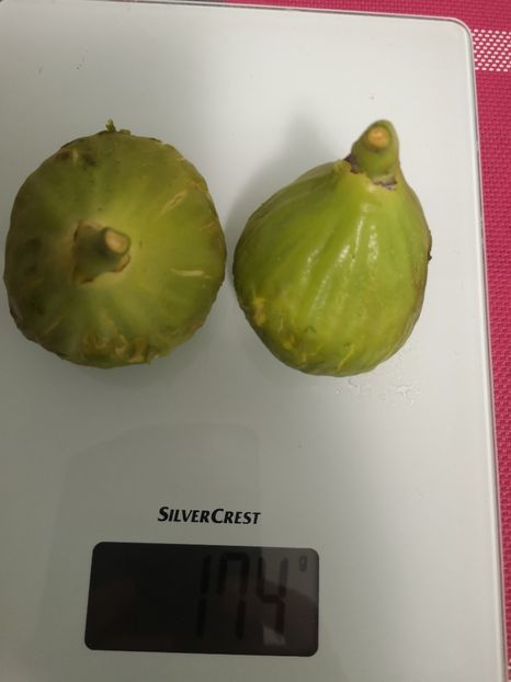  - Arbori fructiferi 2021