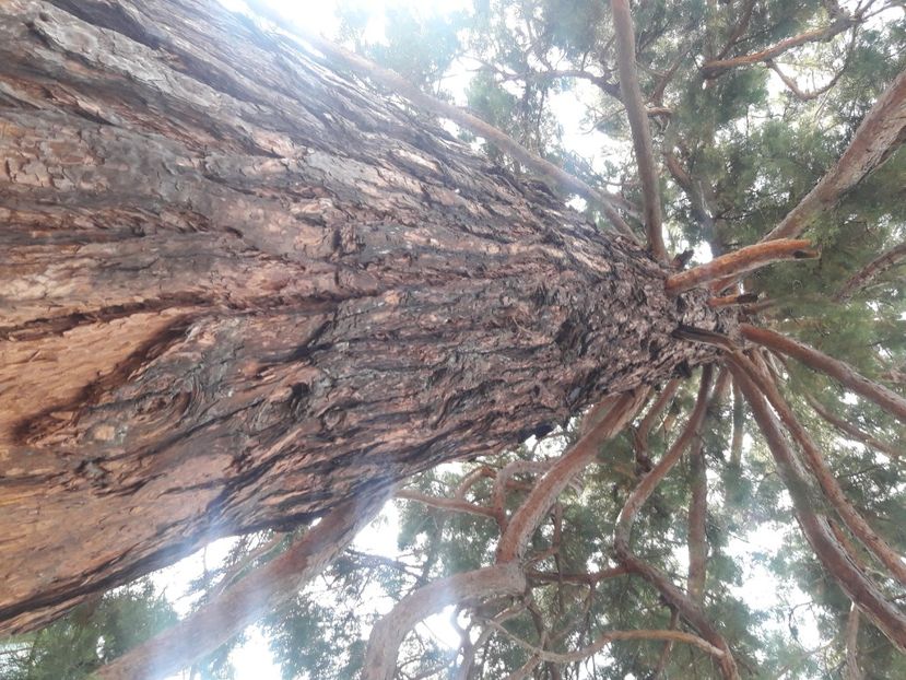  - 2021 iulie Herculane