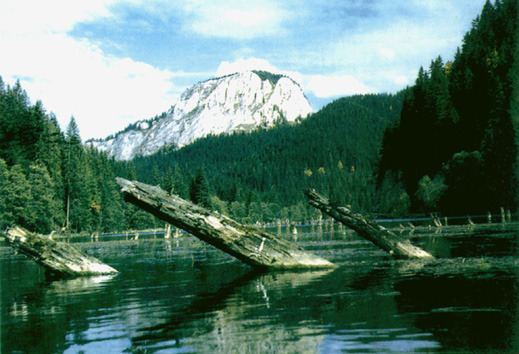 lacul-rosu1 - Lacul Rosu