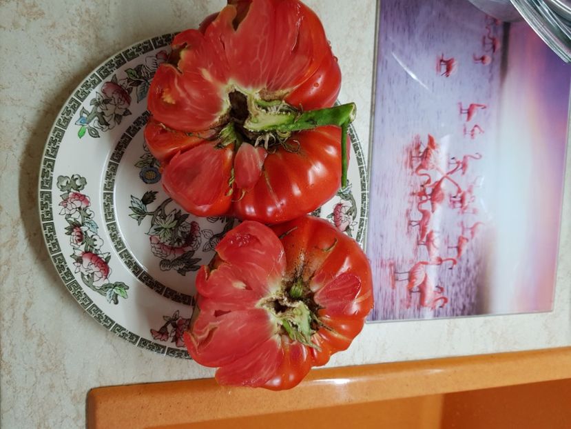 Uriasa si gustoasă - Iulie 2021