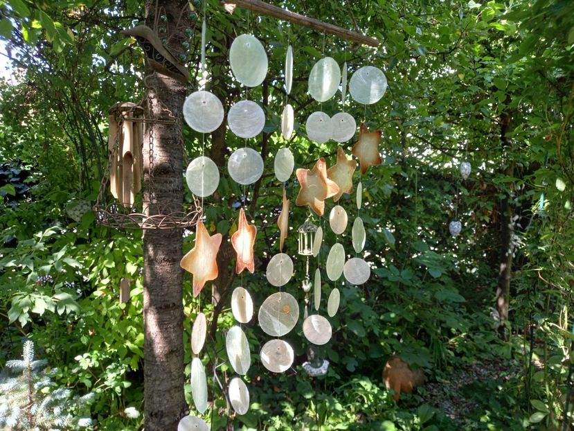  - Grădina 2021 continuare 2