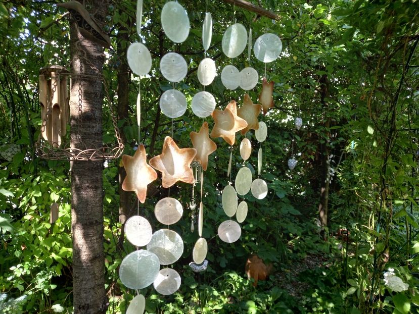  - Grădina 2021 continuare 2