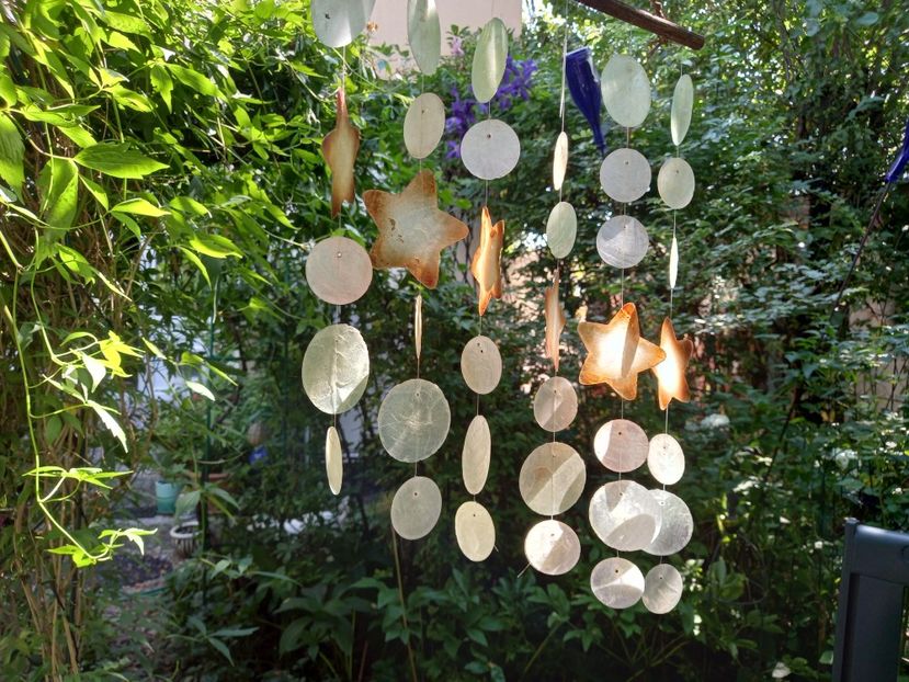  - Grădina 2021 continuare 2