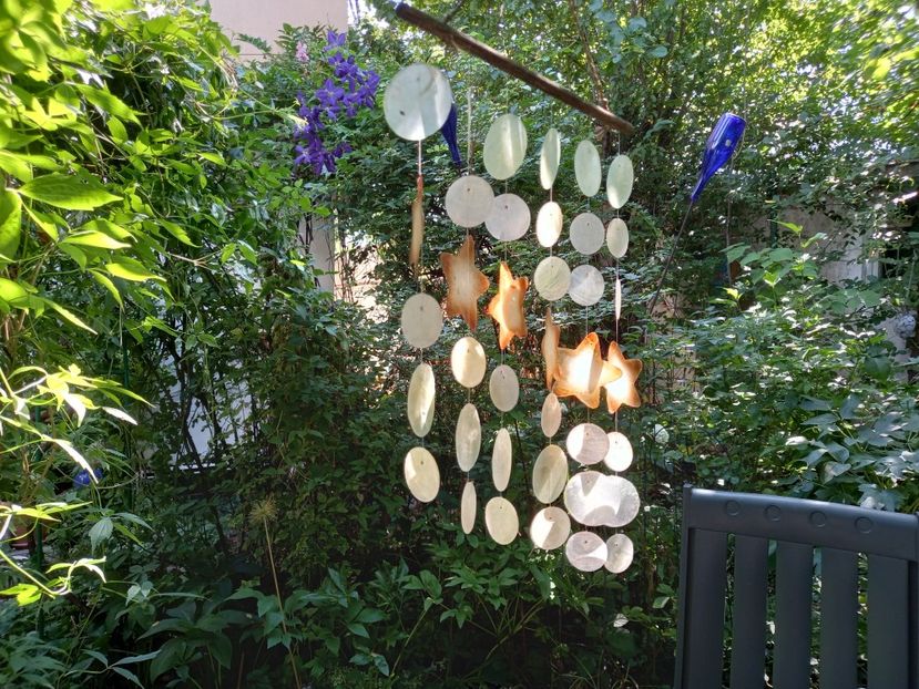  - Grădina 2021 continuare 2