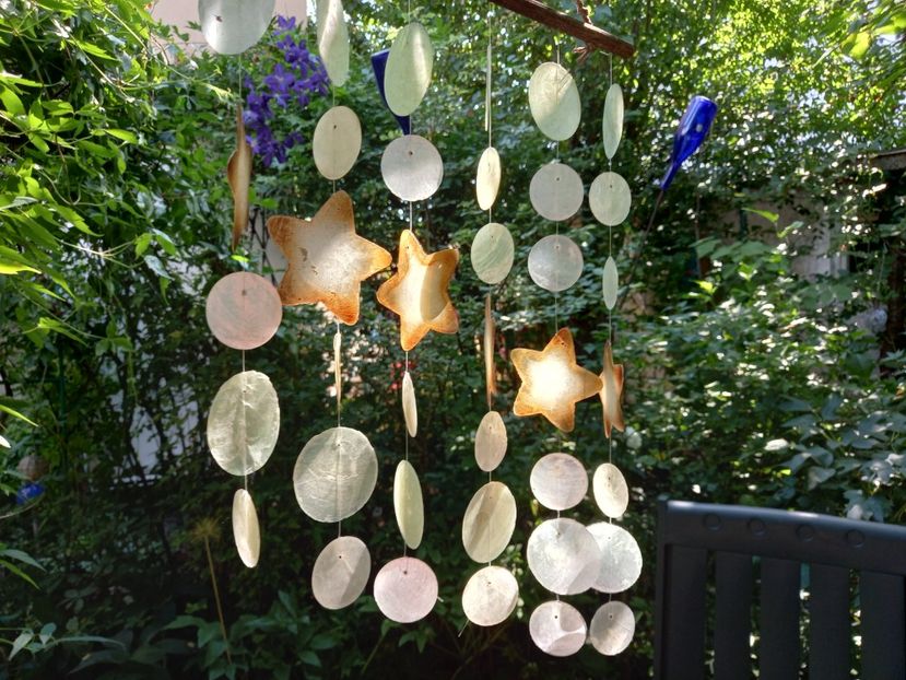  - Grădina 2021 continuare 2