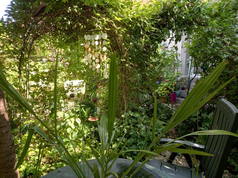  - Grădina 2021 continuare 2