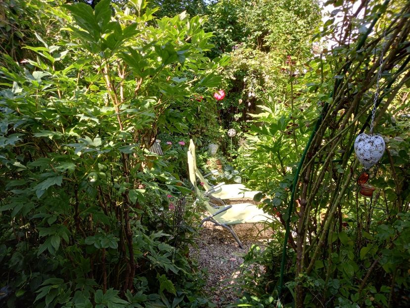  - Grădina 2021 continuare 2