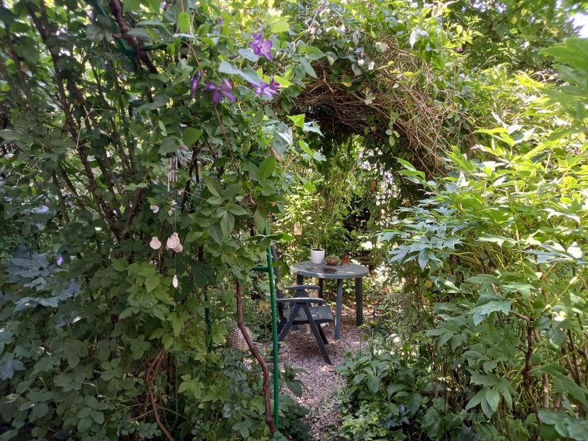  - Grădina 2021 continuare 2