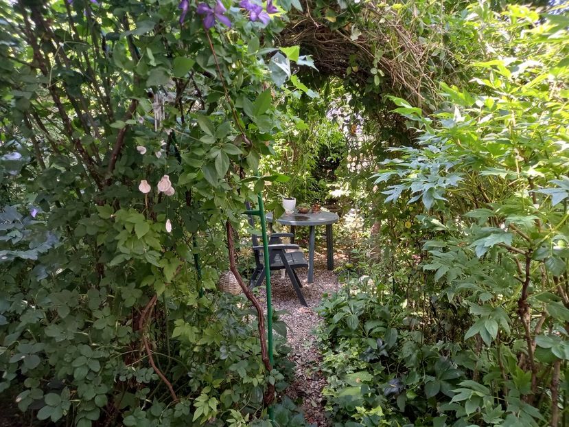  - Grădina 2021 continuare 2