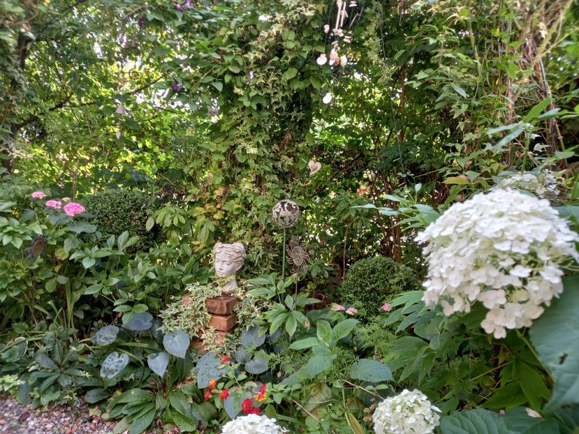  - Grădina 2021 continuare 2