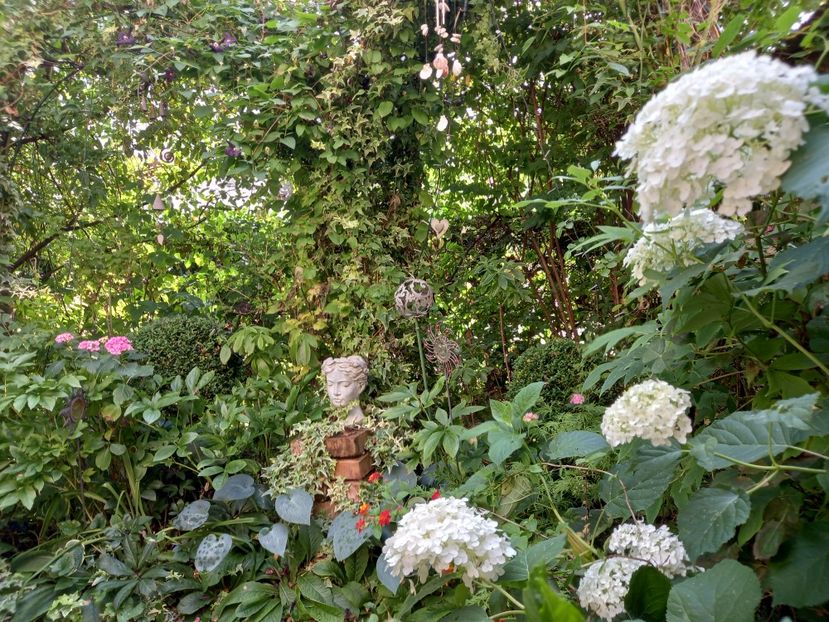  - Grădina 2021 continuare 2