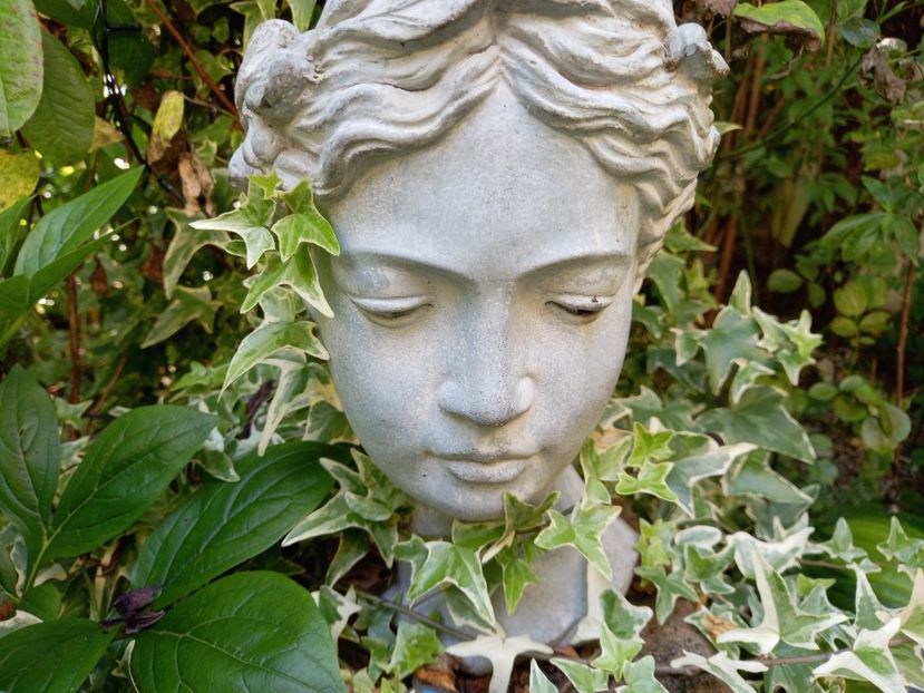  - Grădina 2021 continuare 2