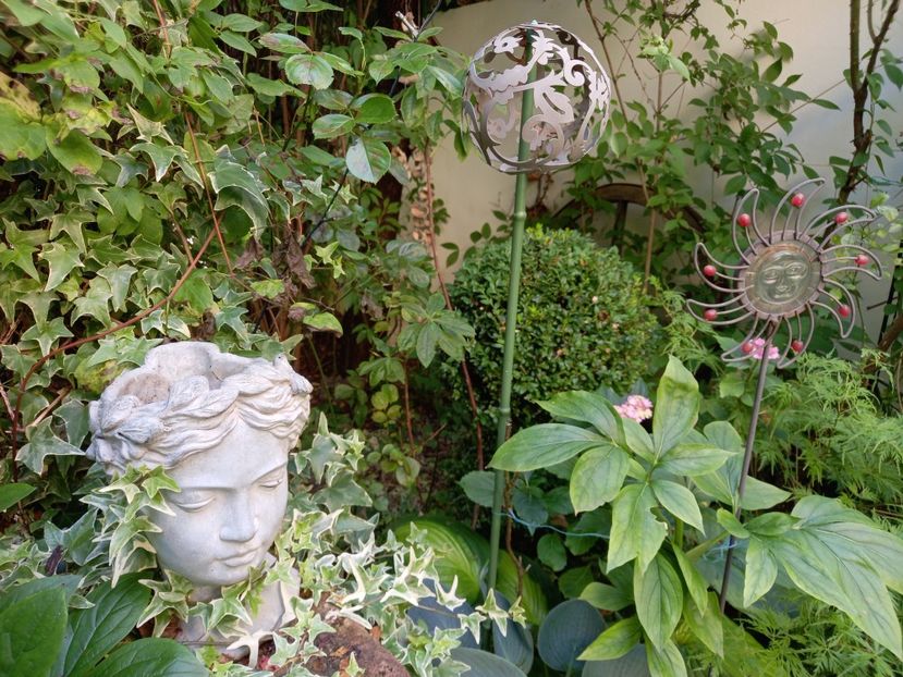  - Grădina 2021 continuare 2