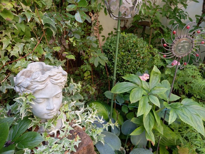  - Grădina 2021 continuare 2