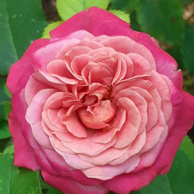  - Agnes 2021 - 2022-2023