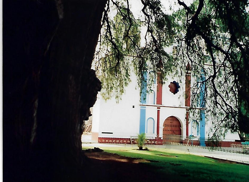 Santa Maria del Tule - Mexic