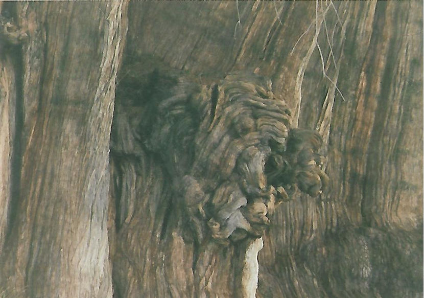 Tule - escrescență de forma unui cap de leu - Mexic