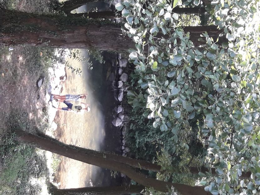  - 2021 iulie Herculane