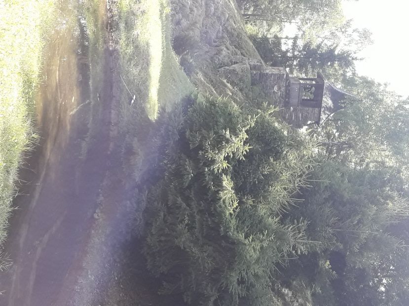  - 2021 iulie Herculane