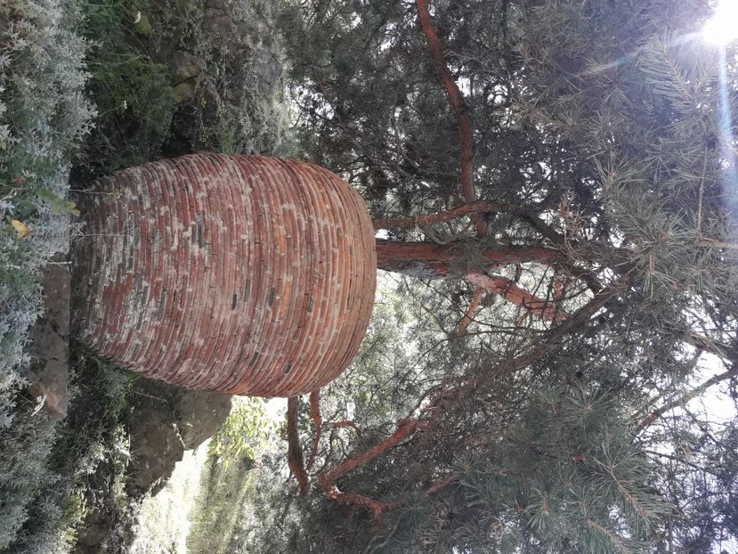  - 2021 iulie Herculane