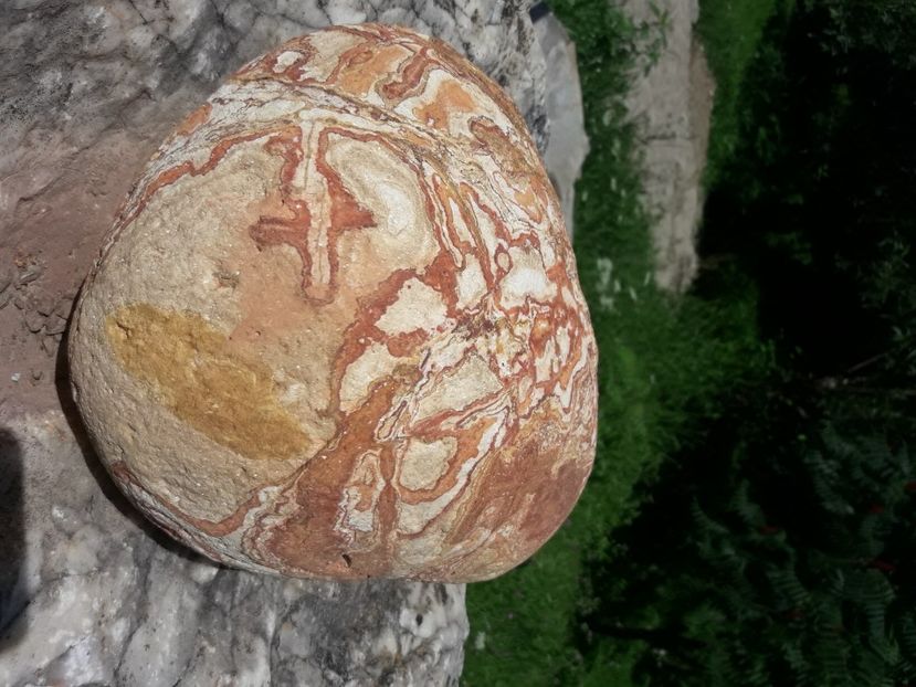  - 2021 iulie Herculane