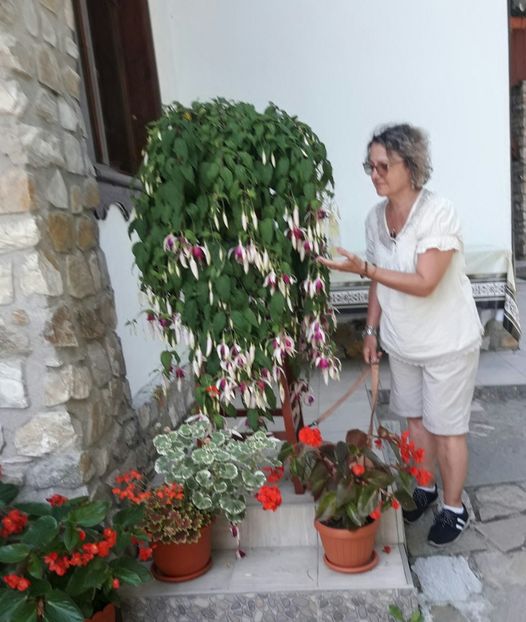  - 2021 iulie Herculane