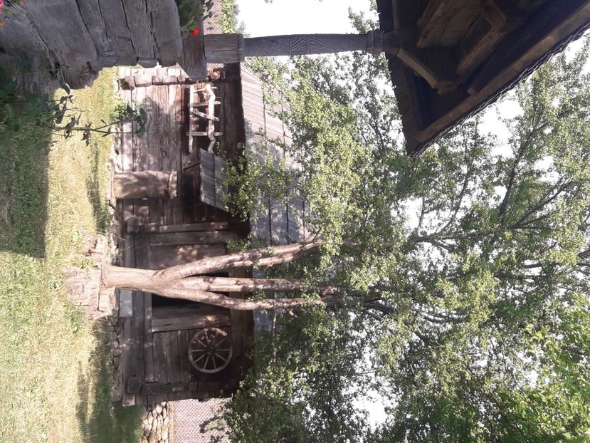  - 2021 iulie Herculane