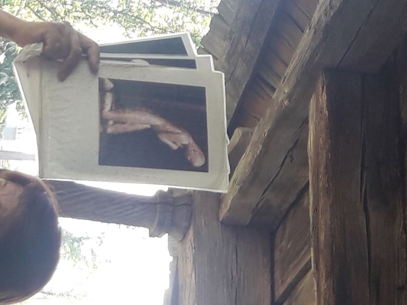  - 2021 iulie Herculane