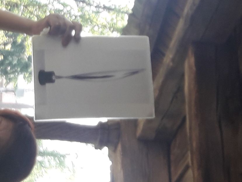  - 2021 iulie Herculane