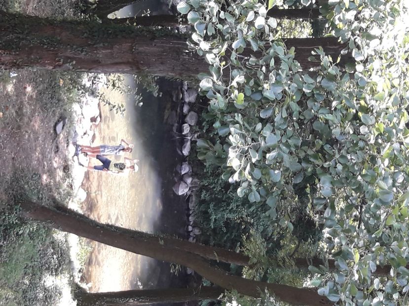  - 2021 iulie Herculane