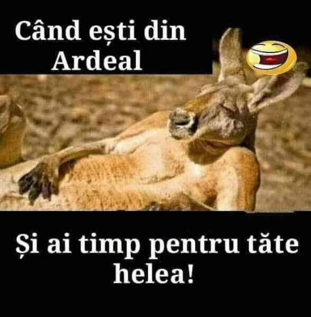  - Bancuri cu Ardeleni