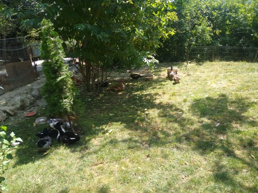  - Ratele mele macaitoare 2021