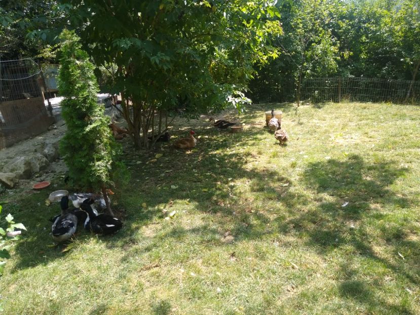  - Ratele mele macaitoare 2021