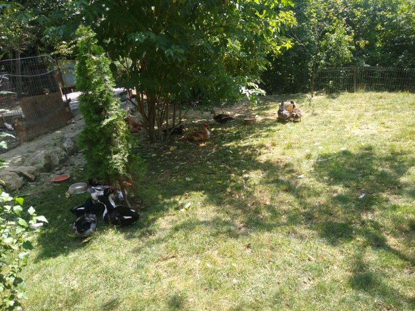  - Ratele mele macaitoare 2021