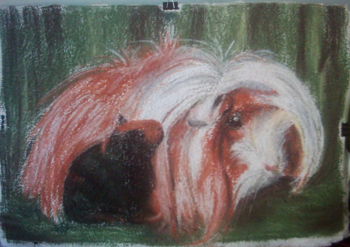 porcusor de guinea - mama si pui; pastel pe mucava, format A3
