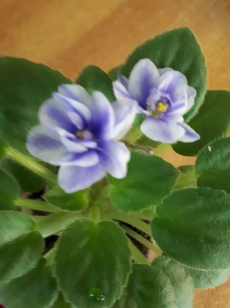  - ZZRob s Cloudy Skies