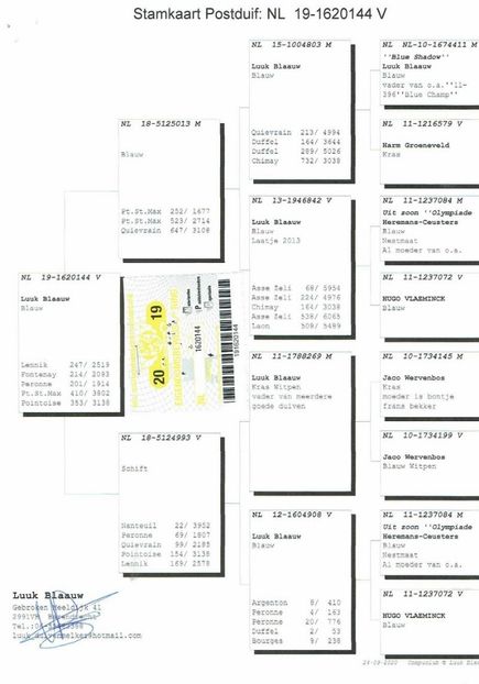 144ped - Achizitii porumbei -2021