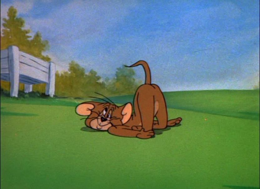 Tom si Jerry - Tom si Jerry Part 5