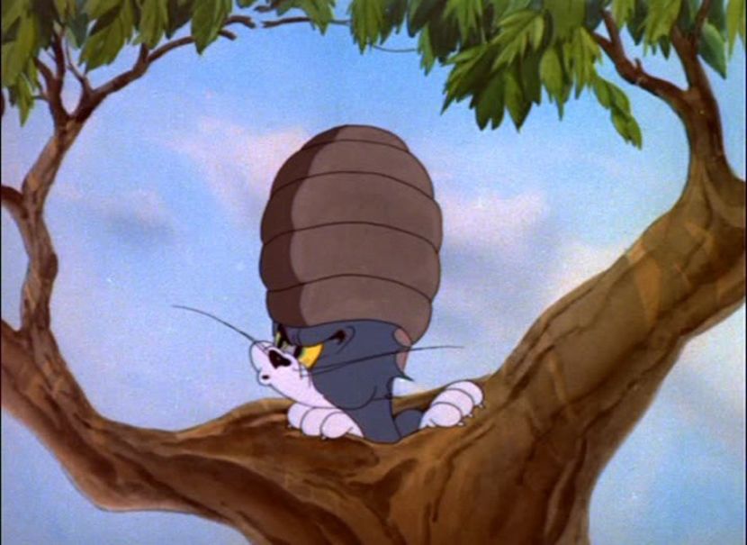 Tom si Jerry - Tom si Jerry Part 5