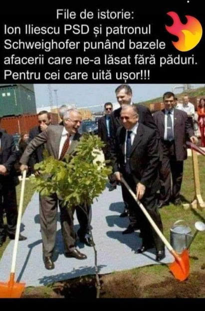  - Divertisment 5