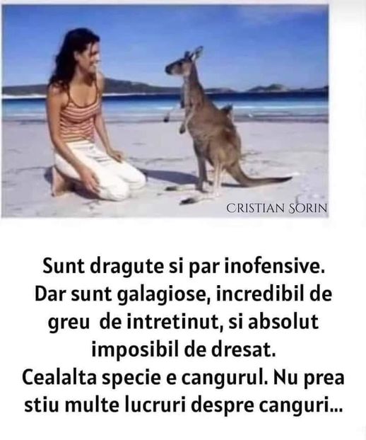  - Divertisment 5