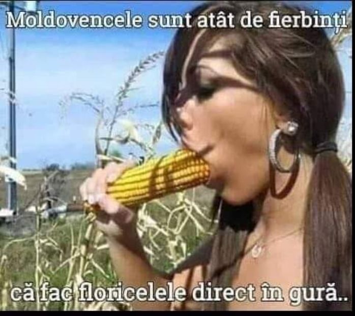  - Divertisment 5