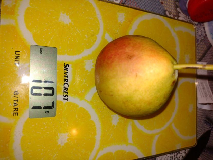 Record depășit dar media la 50-60 gr - Păr de la Stela