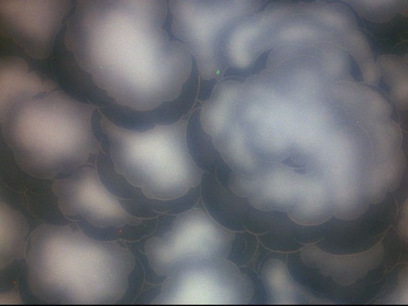 Tom si Jerry - Tom si Jerry Part 5