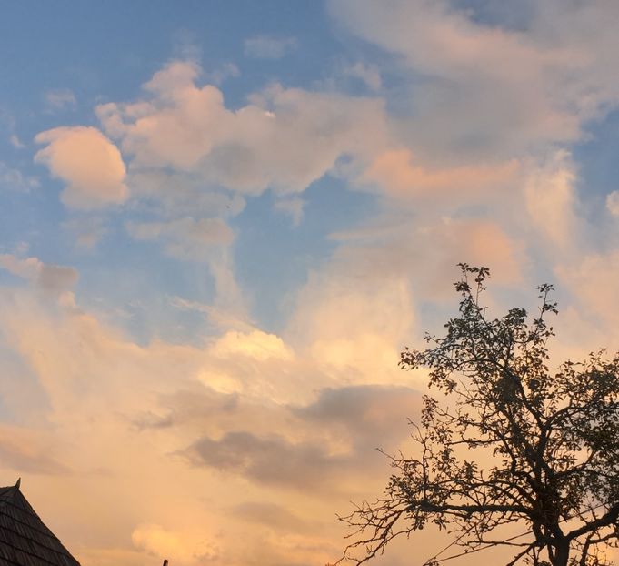 ♡♡♡♡♡♡♡ - - P - Fotografii